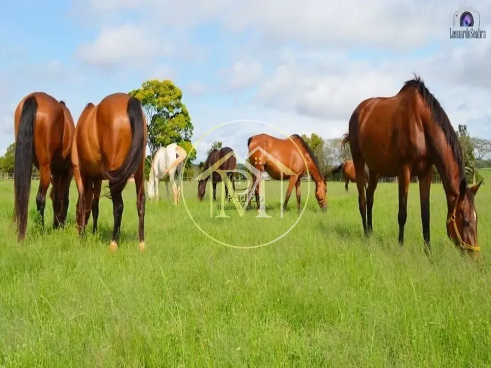 Fazenda, 111 hectares - Foto 11