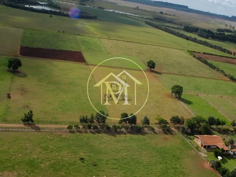 Fazenda, 111 hectares - Foto 4