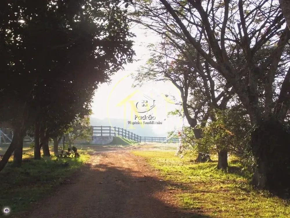 Fazenda, 111 hectares - Foto 3