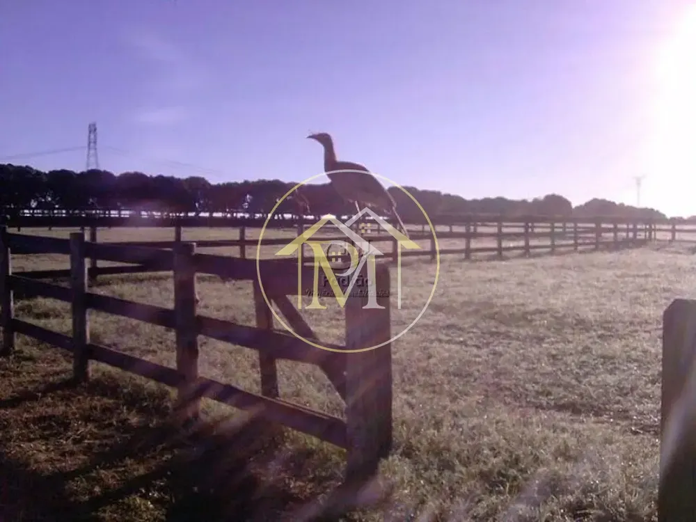 Fazenda, 111 hectares - Foto 12