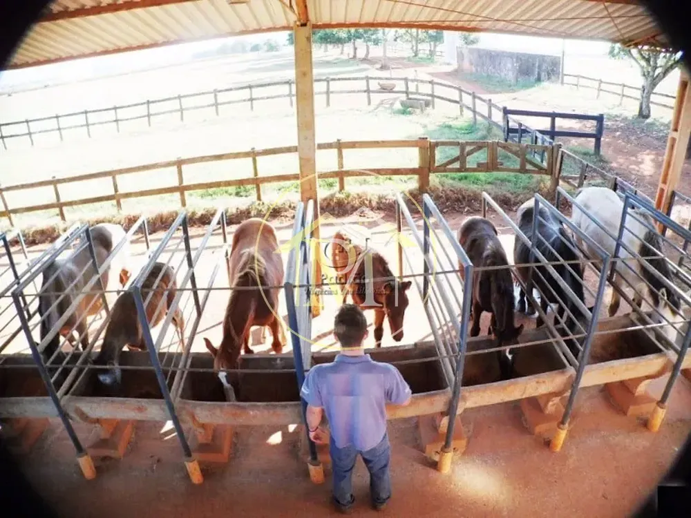 Fazenda, 111 hectares - Foto 8