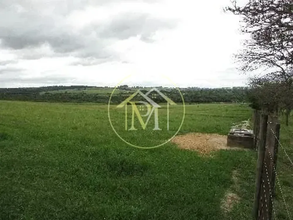 Sítio, 4 quartos, 63 hectares - Foto 11