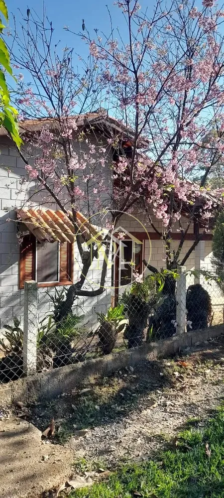 Chácara, 3 quartos, 944 m² - Foto 3