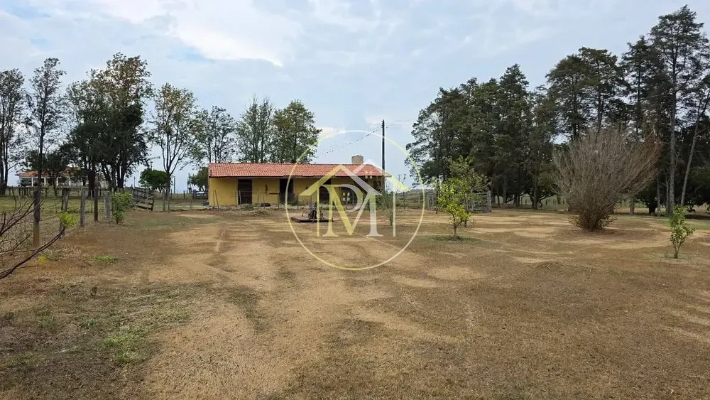 Sítio, 3 quartos, 22 hectares - Foto 10