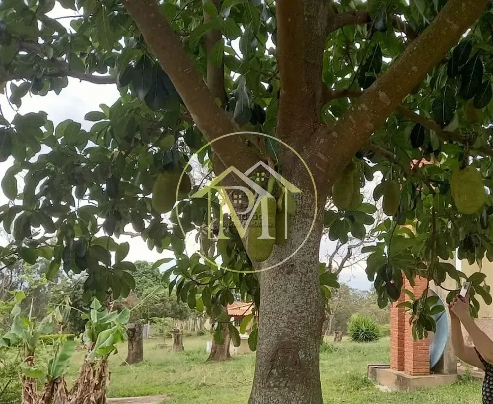 Sítio, 2 quartos, 15 hectares - Foto 11