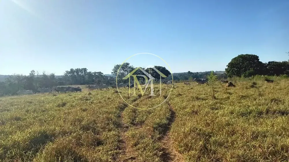 Sítio, 2 quartos, 15 hectares - Foto 10