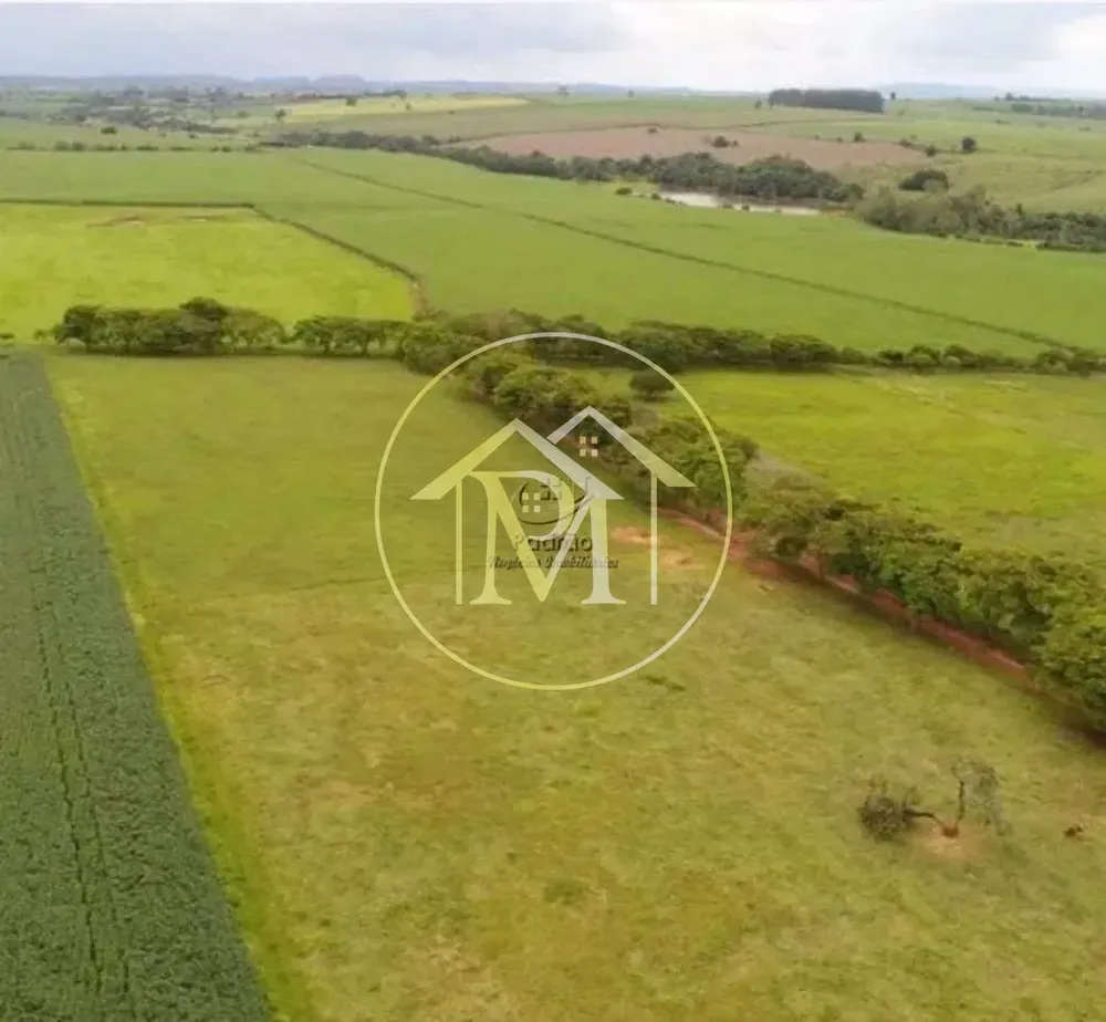 Fazenda, 303 hectares - Foto 11