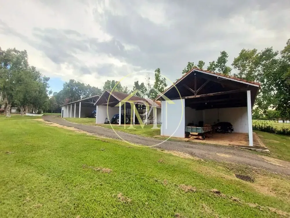 Fazenda, 303 hectares - Foto 9