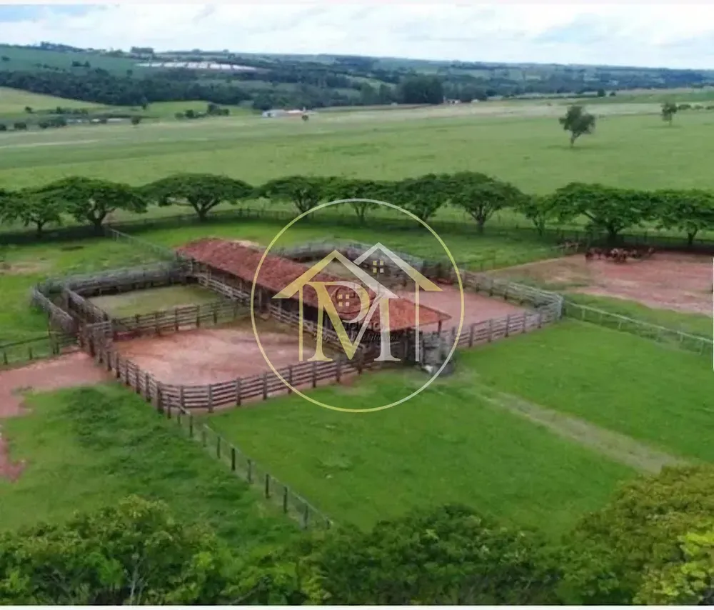 Fazenda, 303 hectares - Foto 12