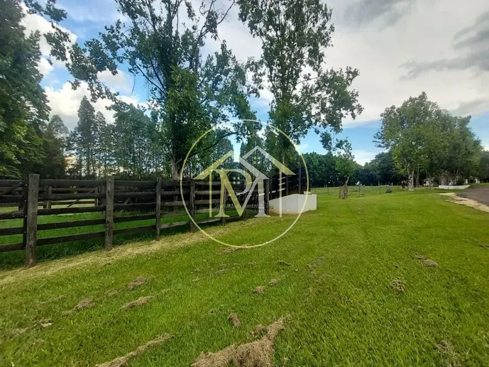 Fazenda, 303 hectares - Foto 8