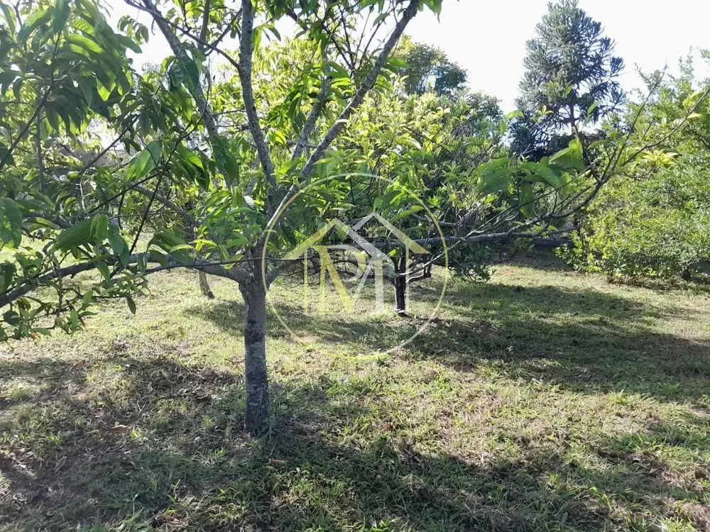 Chácara, 1 quarto, 2800 m² - Foto 11