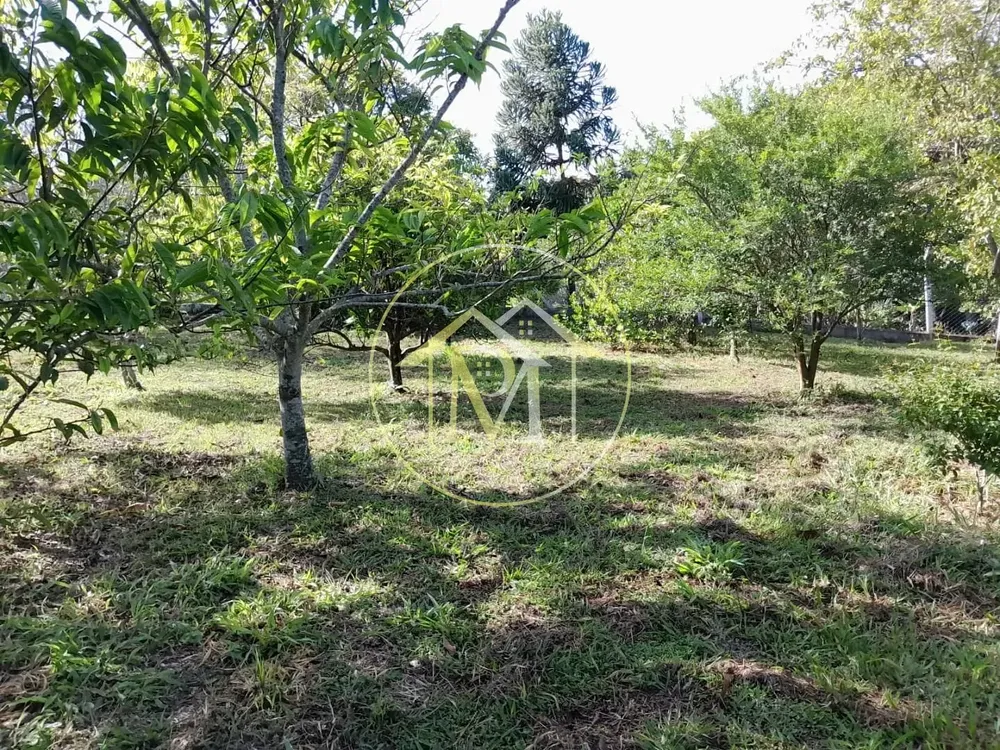 Chácara, 1 quarto, 2800 m² - Foto 4