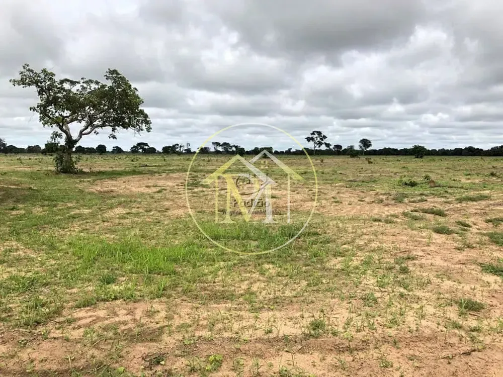 Terreno, 50000 hectares - Foto 3
