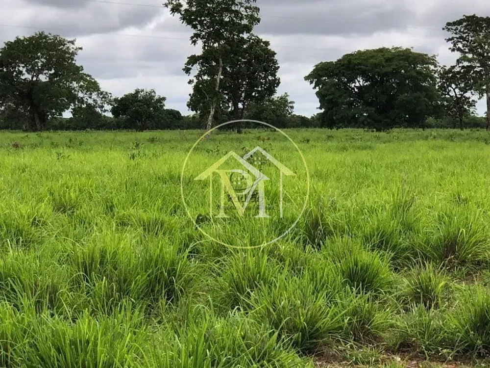 Terreno, 50000 hectares - Foto 1