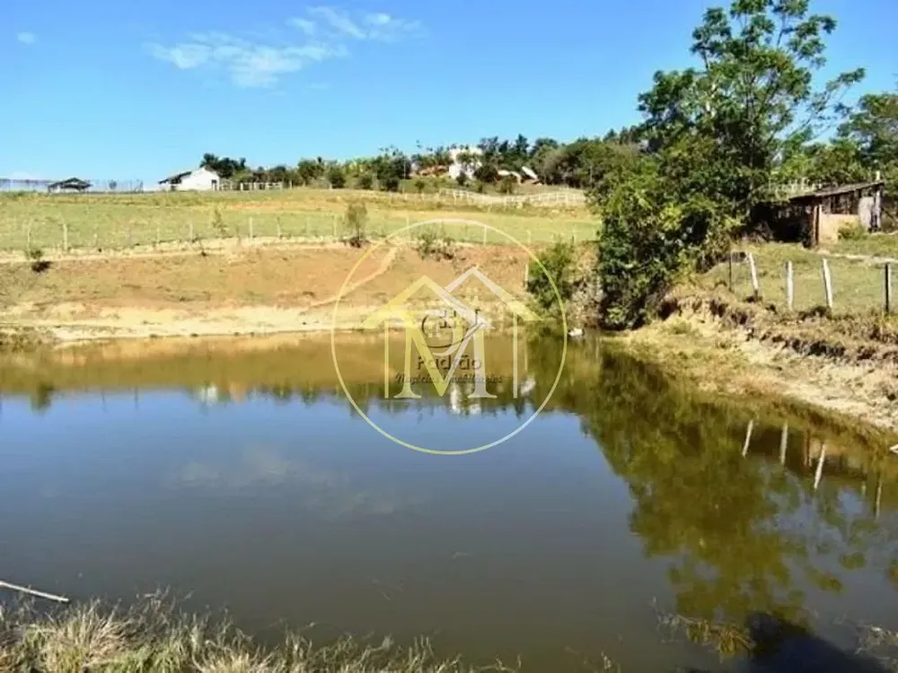 Fazenda, 18 hectares - Foto 8