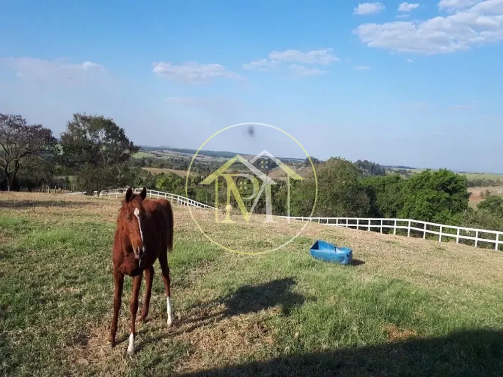 Sítio, 4 quartos, 18 hectares - Foto 4