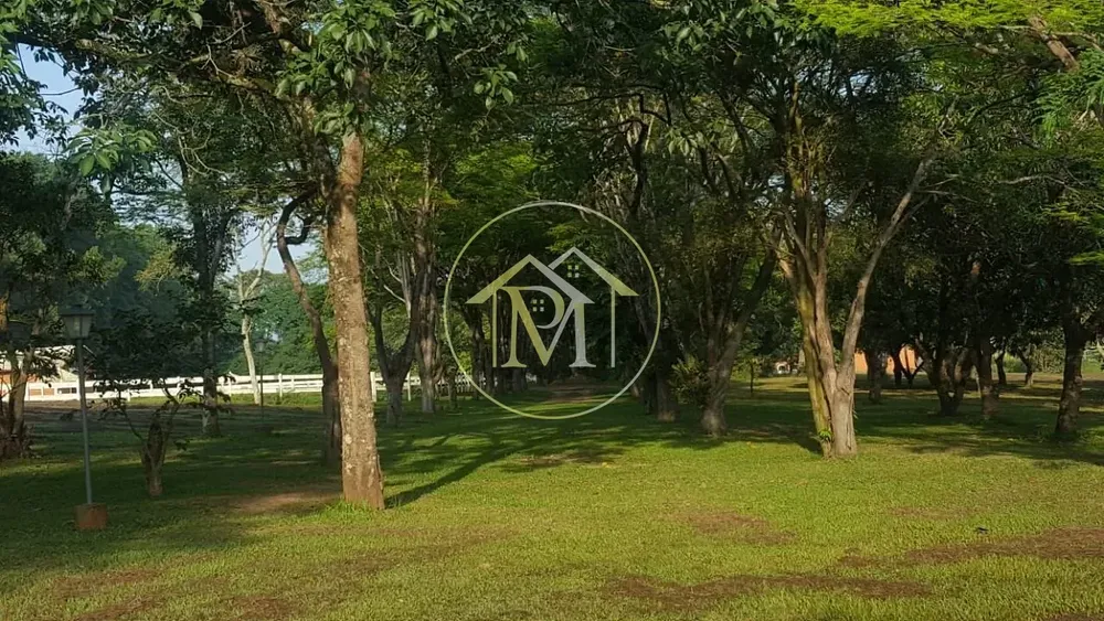 Fazenda, 48 hectares - Foto 6