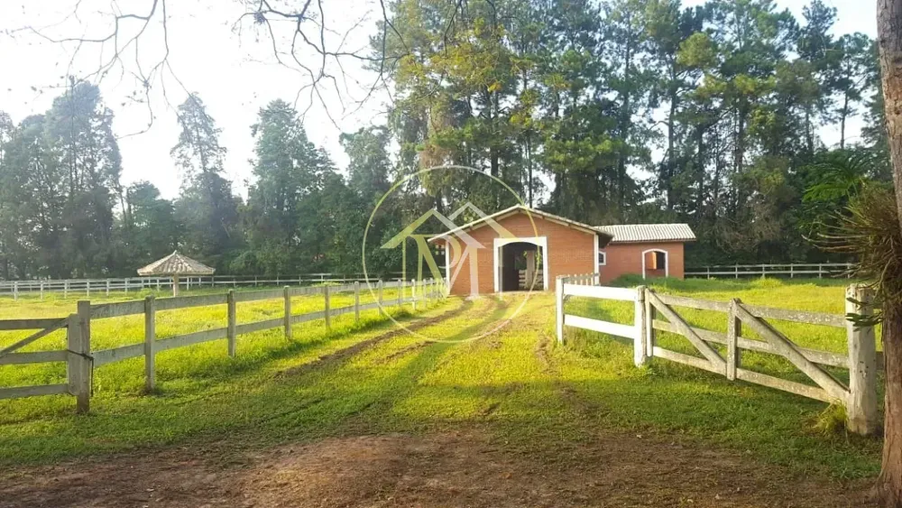 Fazenda, 48 hectares - Foto 4