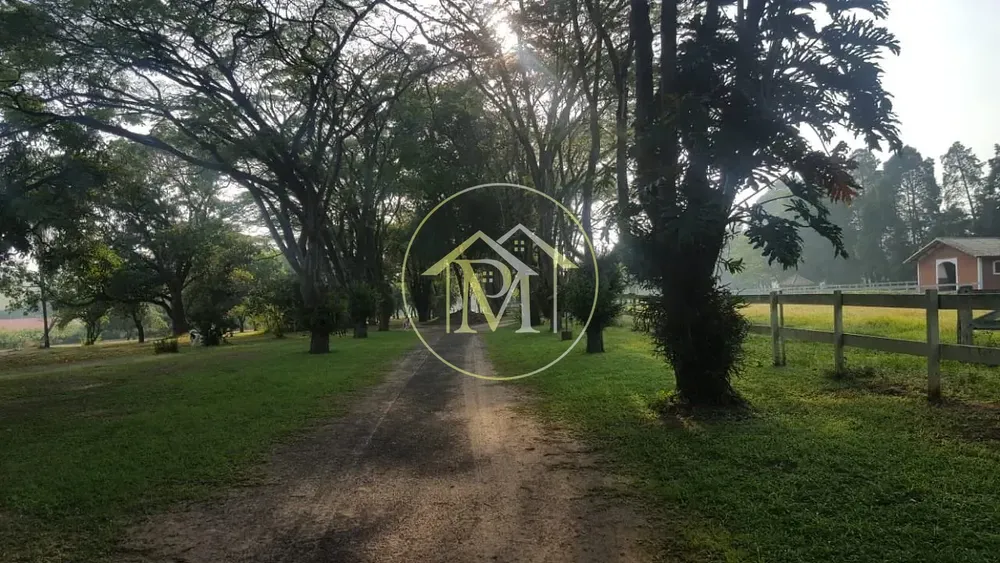 Fazenda, 48 hectares - Foto 7