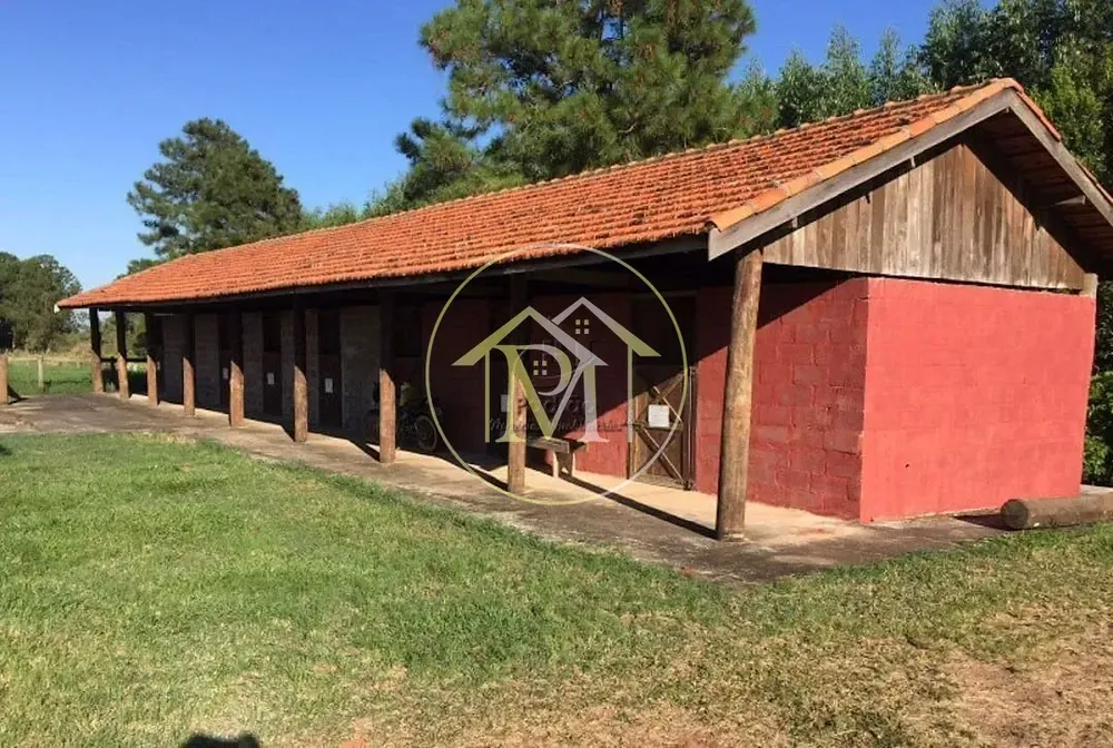 Sítio, 4 quartos, 13 hectares - Foto 6