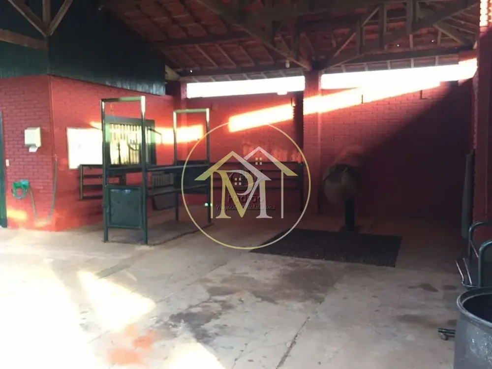 Fazenda, 13 hectares - Foto 4