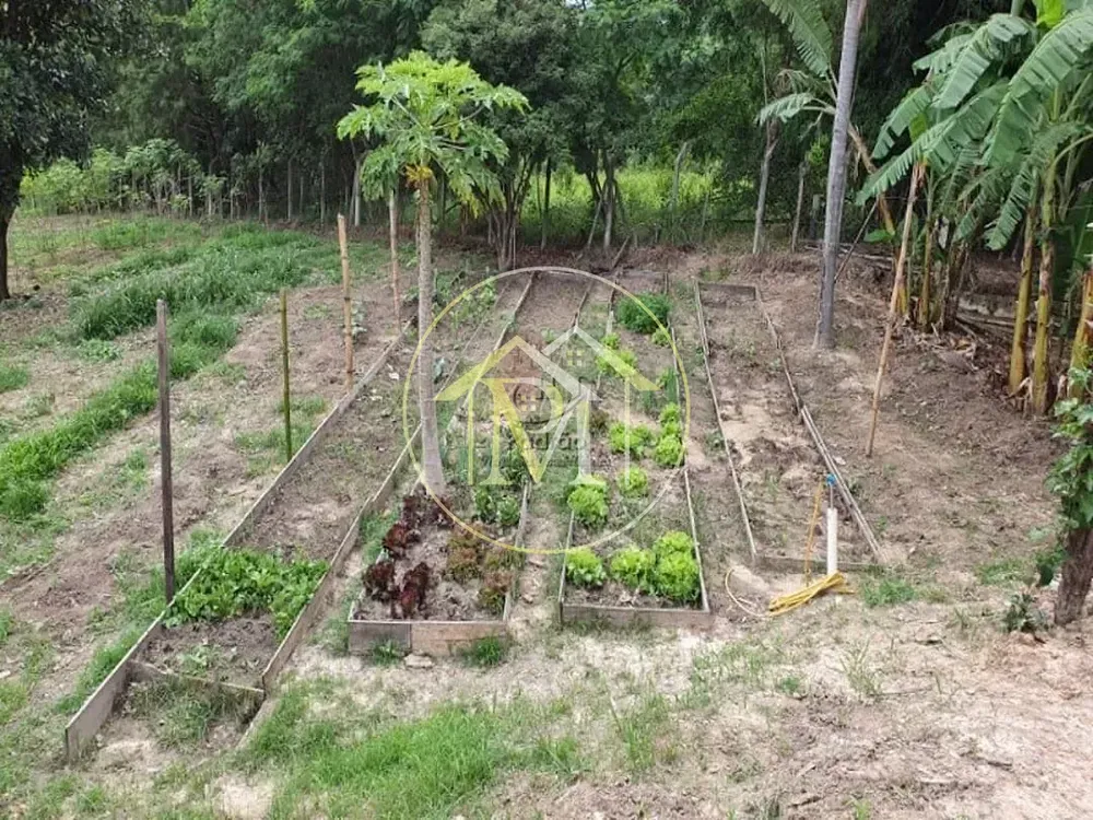Sítio, 3 quartos, 5 hectares - Foto 44