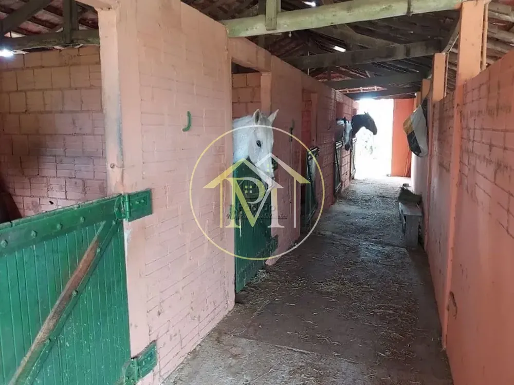 Fazenda, 19 hectares - Foto 11