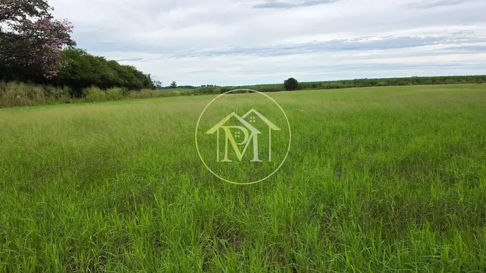 Sítio, 5 quartos, 16 hectares - Foto 4