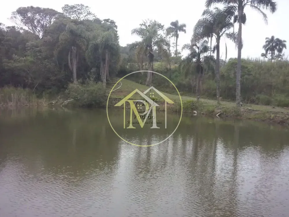 Fazenda, 12 hectares - Foto 3