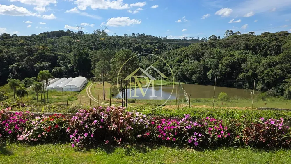 Sítio, 3 quartos, 15 hectares - Foto 7