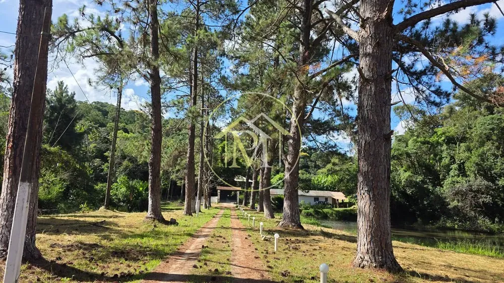 Sítio, 3 quartos, 15 hectares - Foto 4