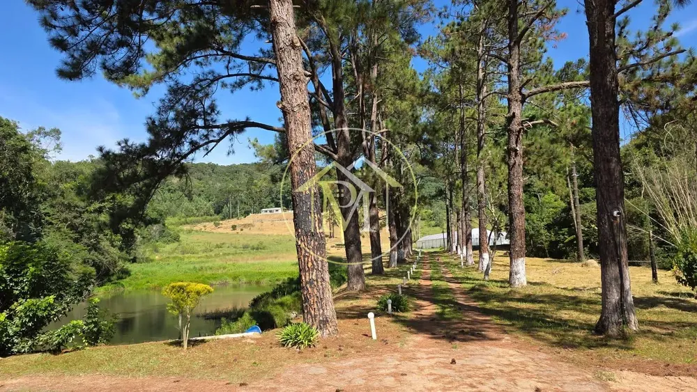 Sítio, 3 quartos, 15 hectares - Foto 12