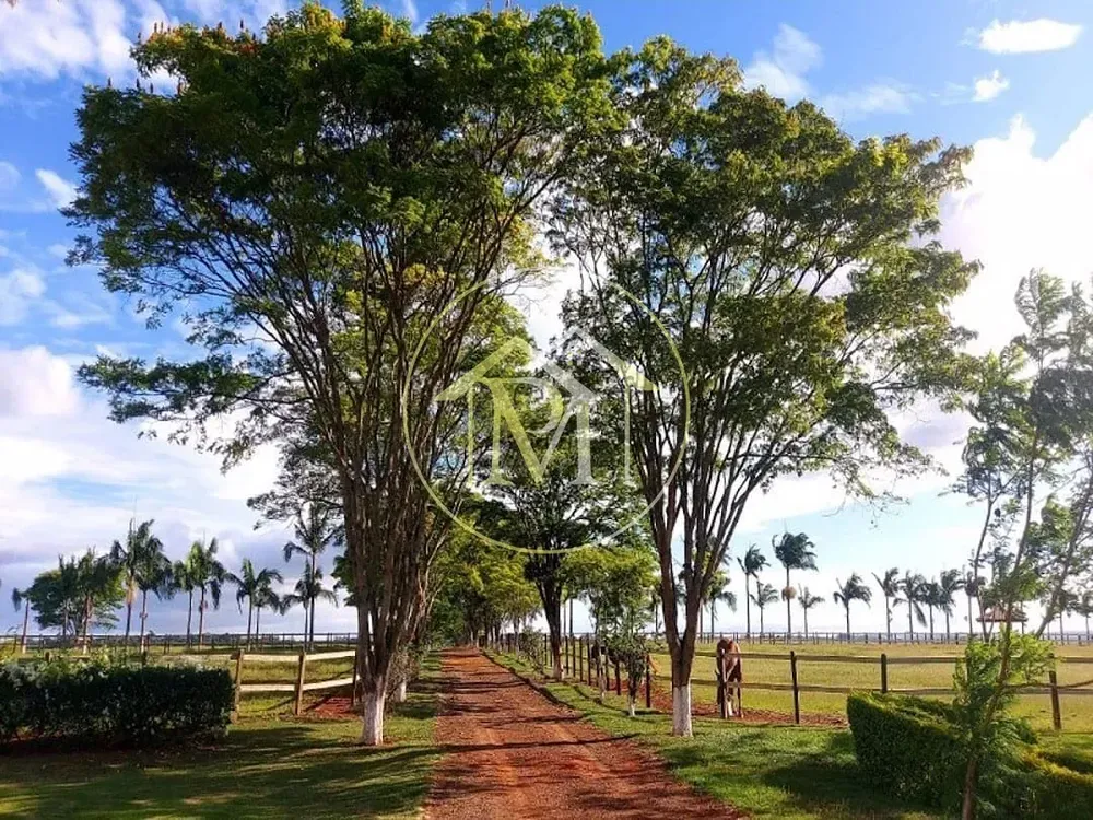 Fazenda, 152 hectares - Foto 4