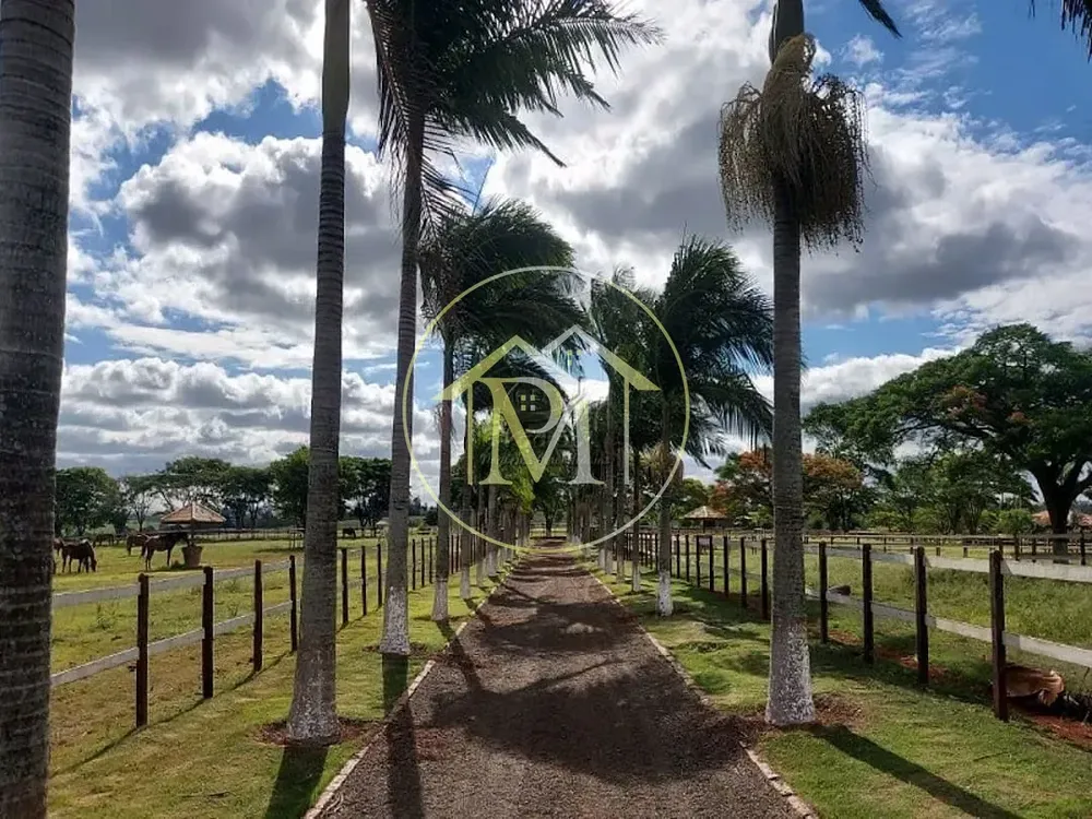 Fazenda, 152 hectares - Foto 3