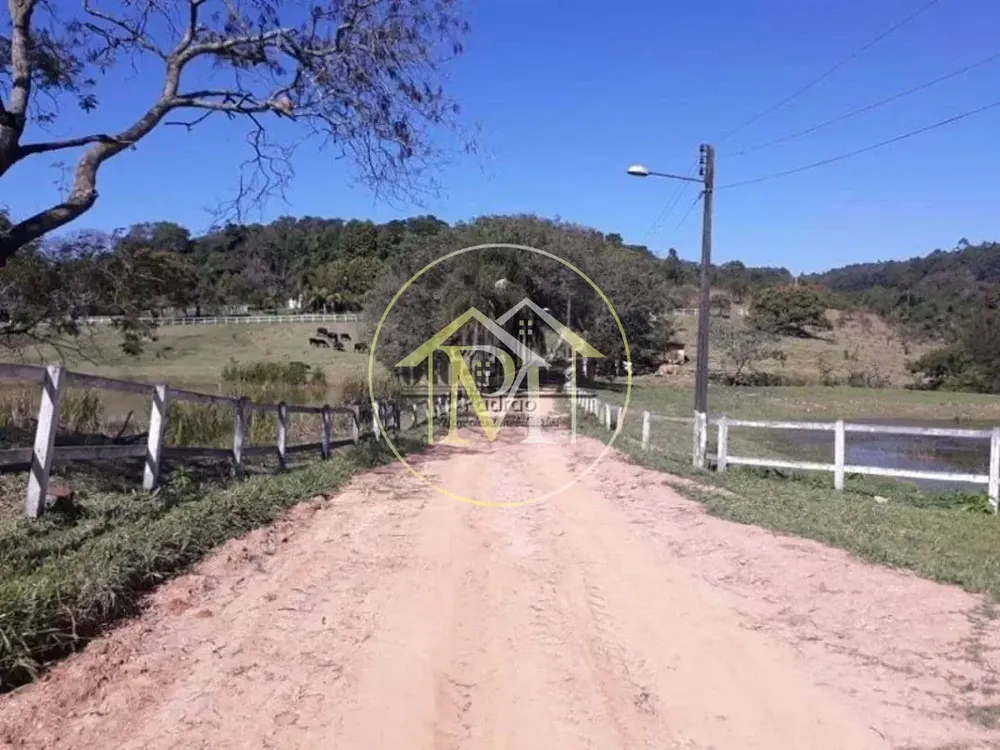 Fazenda, 51 hectares - Foto 6