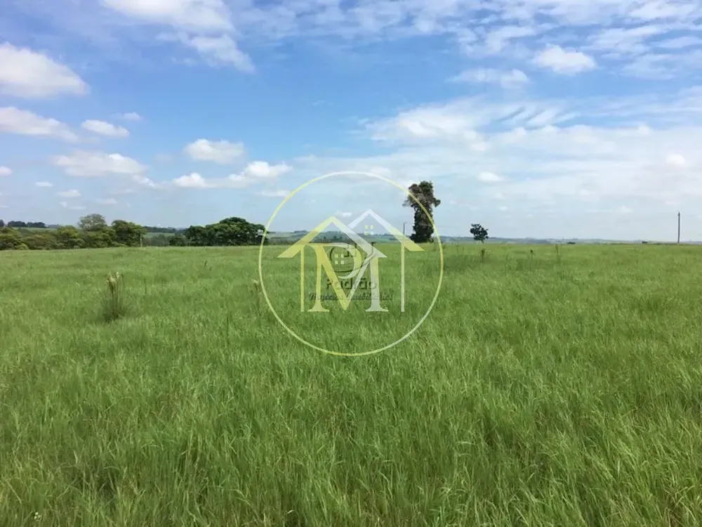 Fazenda, 36 hectares - Foto 12