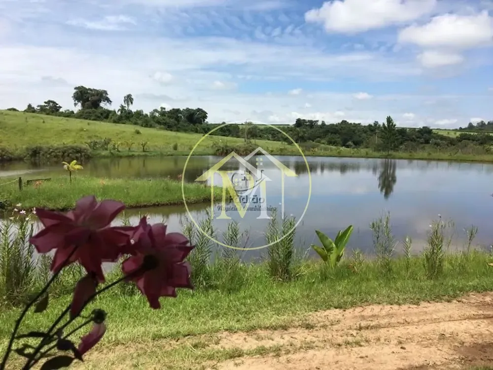 Fazenda, 36 hectares - Foto 10