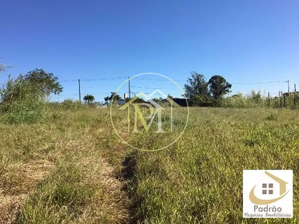 Terreno, 4 hectares - Foto 1