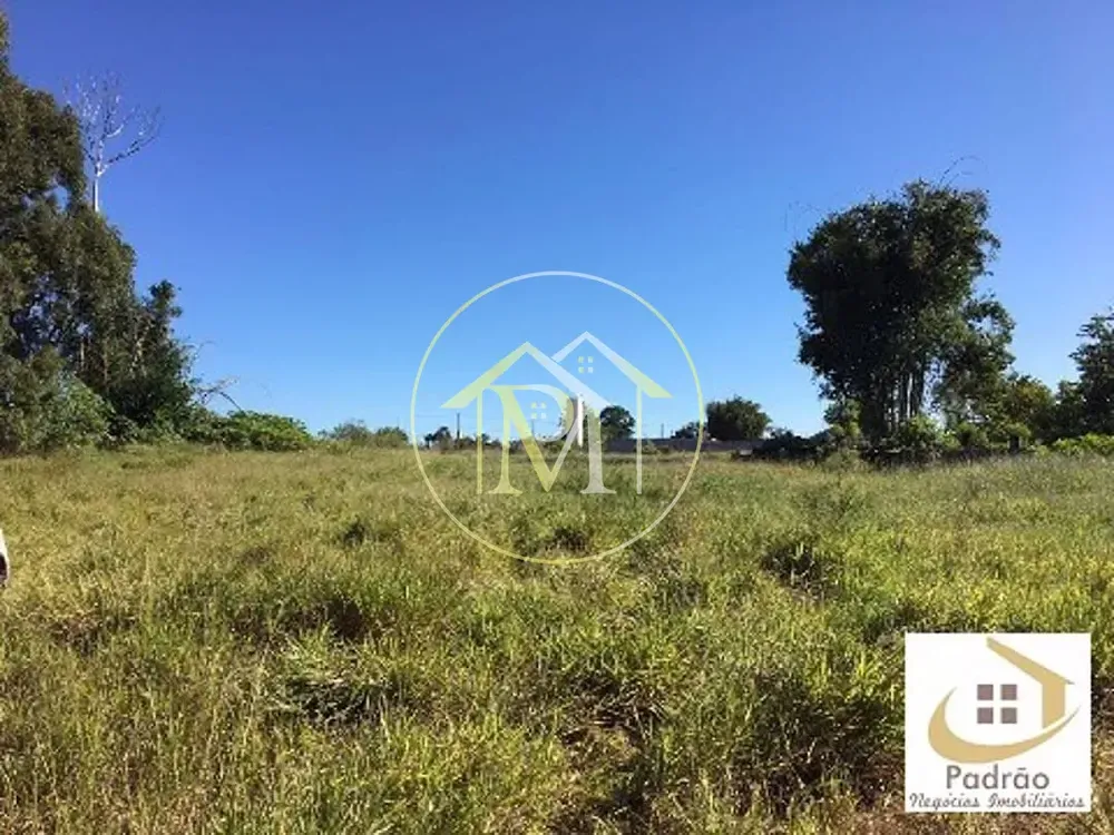 Terreno, 4 hectares - Foto 2