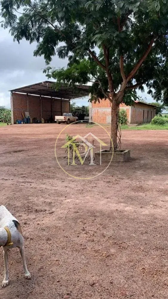 Fazenda, 5 hectares - Foto 4