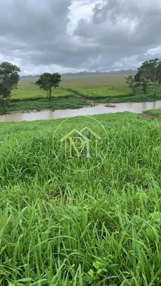 Fazenda, 5 hectares - Foto 3