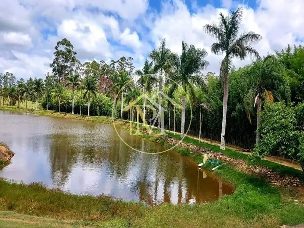 Sítio, 8 quartos, 53 hectares - Foto 3