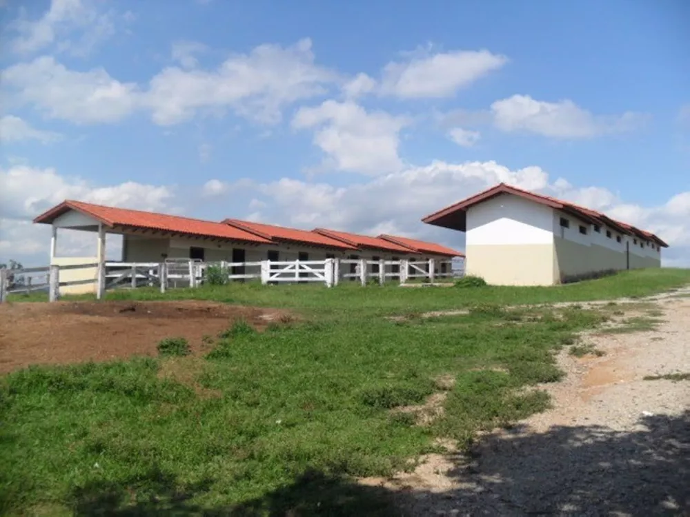 Haras e Área Rural Padrão à venda com 8 quartos, 3800m² - Foto 4