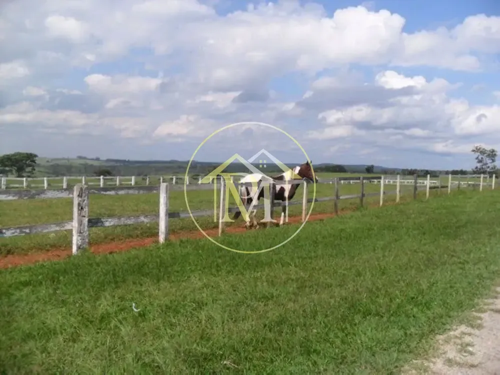 Fazenda, 92 hectares - Foto 4