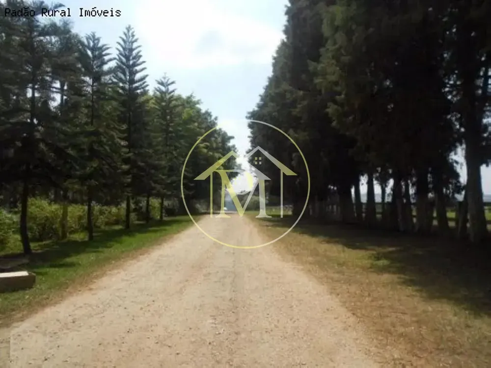 Fazenda, 92 hectares - Foto 10