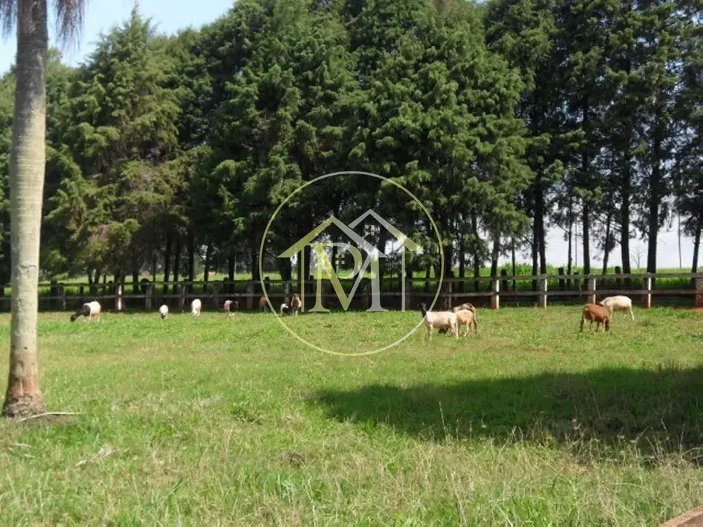 Fazenda, 92 hectares - Foto 2