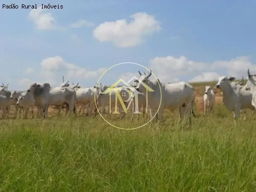 Fazenda, 92 hectares - Foto 7