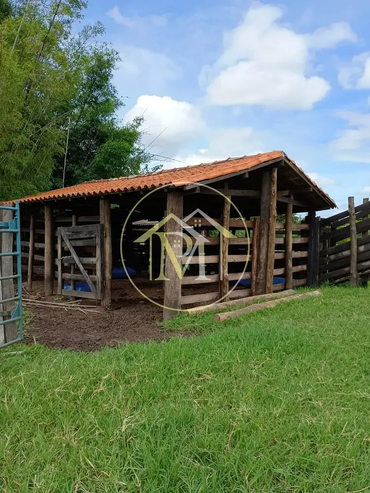Fazenda, 3 hectares - Foto 11