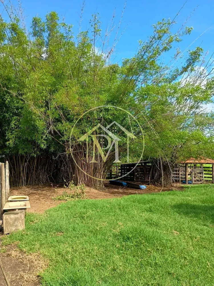 Fazenda, 3 hectares - Foto 8