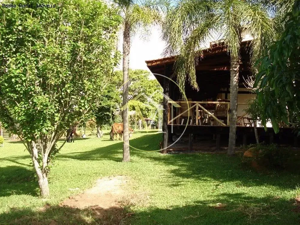 Sítio, 3 quartos, 5 hectares - Foto 8